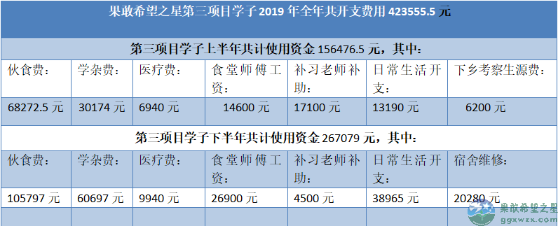 果敢希望之星2019年度财务总结