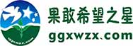 果敢之星助学网